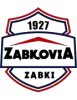 维亚扎布二队